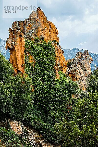 Calanche  bizarre Felsformationen in 400 m Höhe  Korsika  Frankreich  Europa