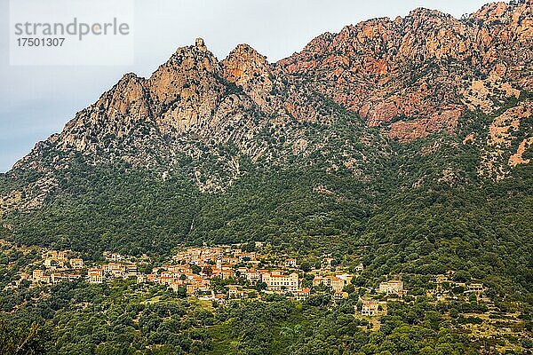 Spelunca-Schlucht auf der Westseite des Col de Vergio  Korsika  Corte  Korsika  Frankreich  Europa