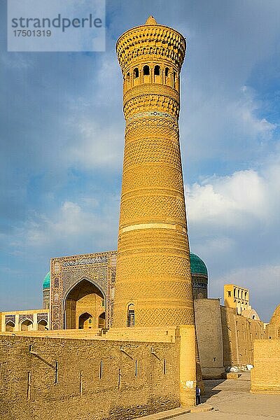 Moschee und Minarett Kalon  Ensemble Poi Kalon  Buchara  die Heilige Stadt  Usbekistan  Usbekistan  Asien