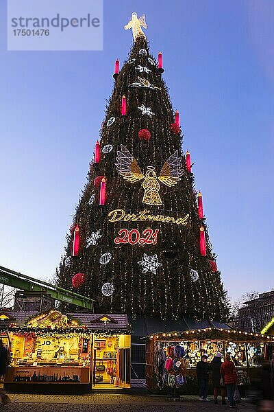 Der größte Weihnachtsbaum der Welt am Weihnachtsmarkt Dortmund  Blaue Stunde  Dortmund  Ruhrgebiet  Nordrhein-Westfalen  Deutschland  Europa