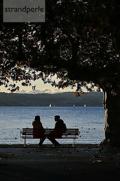 Paar am Zürichsee bei Herbststimmung  Schweiz  Europa