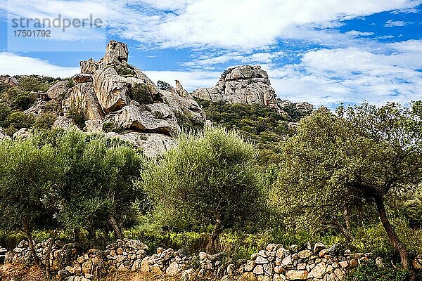 Steinbruch zur Herstellung der Menhir-Statuen  Prähistorische Stätte Plateau von Cauria  Korsika  Cauria  Korsika  Frankreich  Europa