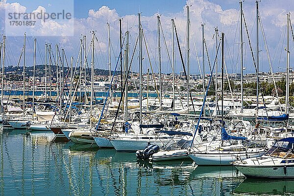 Segelyachten ankern im Hafen von Cannes  Cannes  Provence-Alpes-Cote dAzur  Südfrankreich