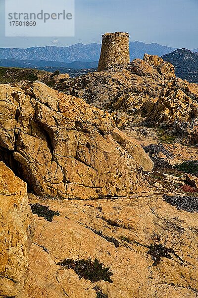 Genueserturm in L'Ile-Rousse mit der vorgelagerten Insel La Pietra  Balagne  Garten Korsikas  L'Ile-Rousse  Korsika  Frankreich  Europa