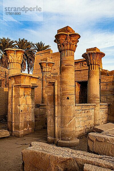 Ptah-Tempel  Karnak-Tempel  Luxor  Theben  Ägypten  Luxor  Theben  Ägypten  Afrika