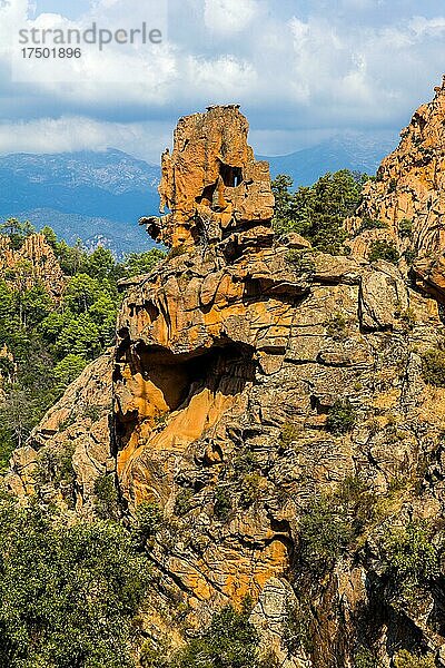 Calanche  bizarre Felsformationen in 400 m Höhe  Korsika  Frankreich  Europa