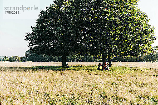 Familie verbringt ihre Freizeit unter einem Baum im Park