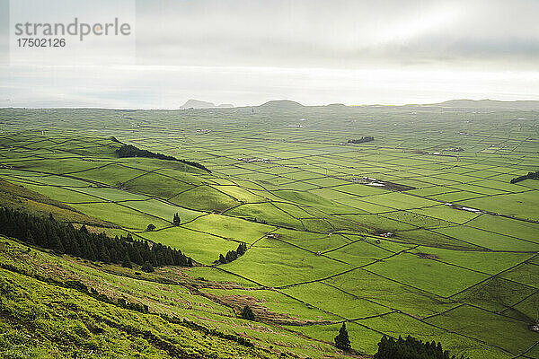 Malerische Aussicht auf das grüne landwirtschaftliche Feld auf der Insel Terceira  Azoren  Portugal