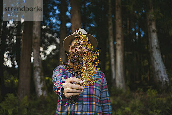 Mann hält trockenes Blatt vor Gesicht im Wald