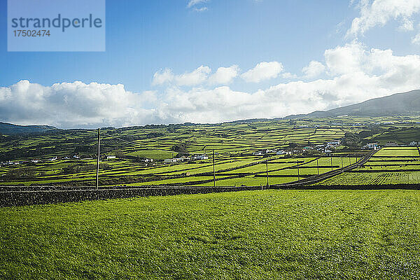 Malerischer Blick auf die grüne Landschaft  Insel Terceira  Azoren  Portugal