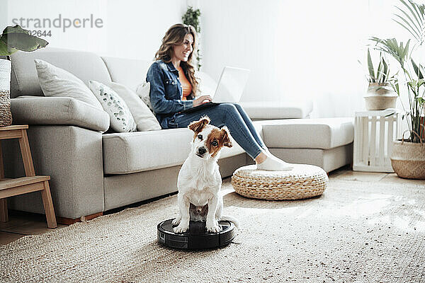 Jack Russell Terrier sitzt auf einem Staubsauger  im Hintergrund eine Geschäftsfrau mit Laptop