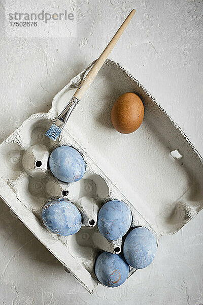 Studio shot of egg carton with blue painted chicken eggs