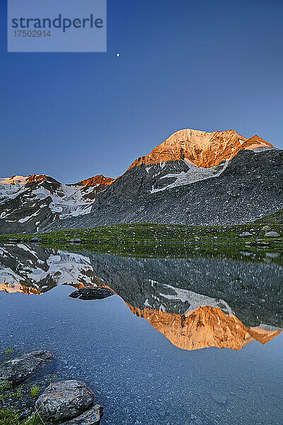 Die Königsspitze spiegelt sich in der Abenddämmerung auf der Oberfläche des klaren Sees