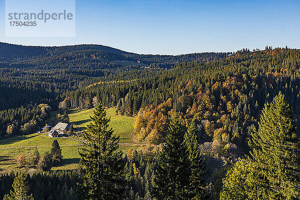 Einsames Bauernhaus im Schwarzwald im Herbst