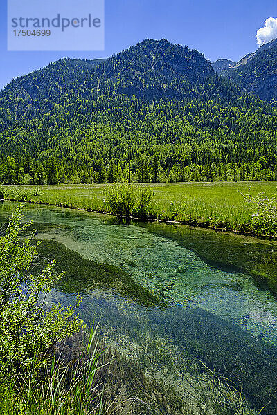 Fluss Amper im Sommer mit bewaldetem Berg im Hintergrund