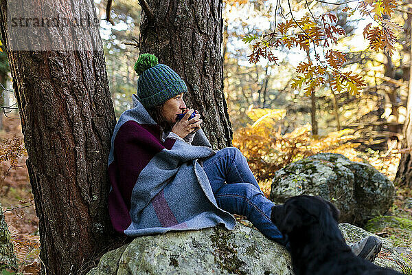 Frau  in Decke gehüllt  trinkt Kaffee und sitzt auf einem Felsen neben einem Hund im Wald