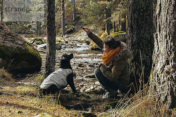 Glückliche Frau  die mit Hund im Wald spielt