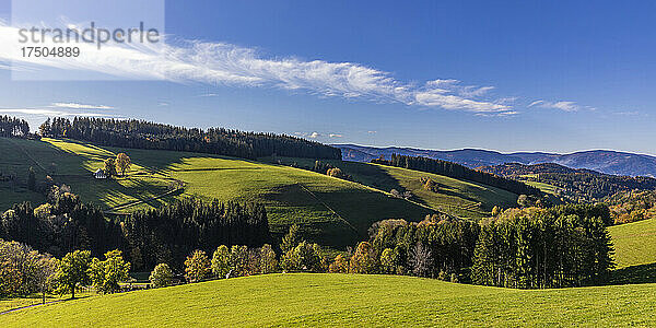 Panoramablick auf die grünen Herbsthügel im Schwarzwald