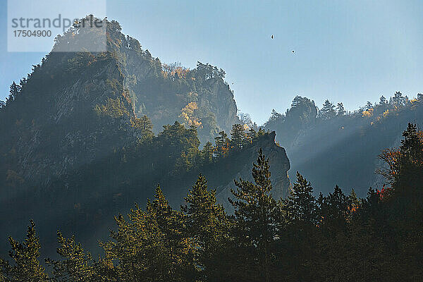 Bewaldete Landschaft des Kaukasus am Herbstmorgen