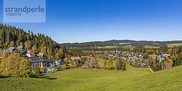 Deutschland  Baden-Württemberg  Hinterzarten  Panoramablick auf ein abgelegenes Dorf im Schwarzwald