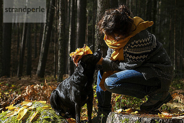 Verspielte Frau mit Hund hält Herbstblätter im Wald