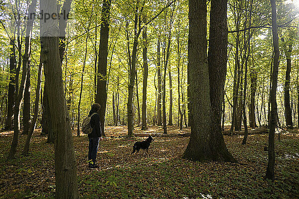 Mann wandert mit Hund im Wald