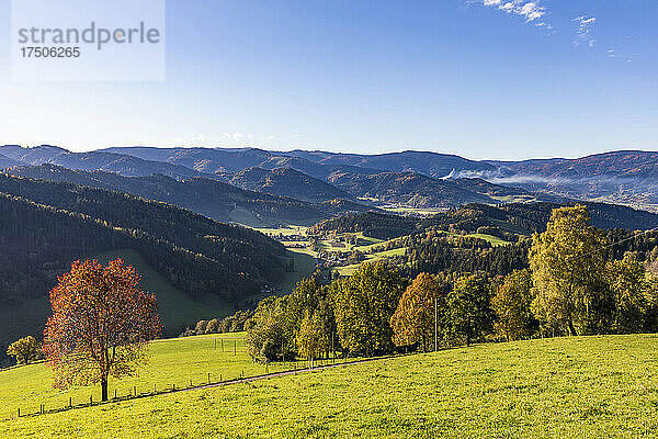 Blick auf die herbstlichen Hügel im Schwarzwald