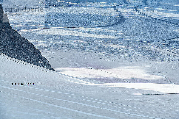 Silhouetten von Wanderern  die durch den starken Schnee des Aletschgletschers reisen