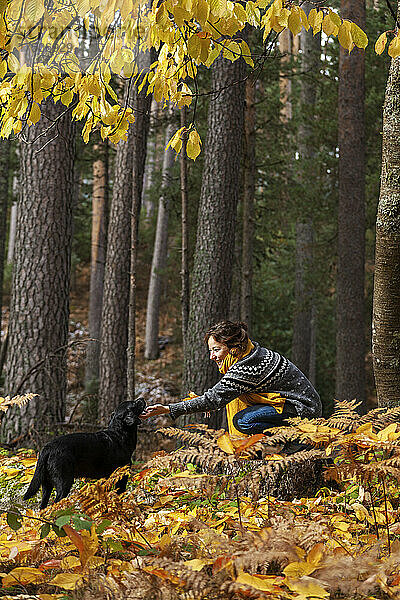 Frau streichelt Hund im Herbstwald