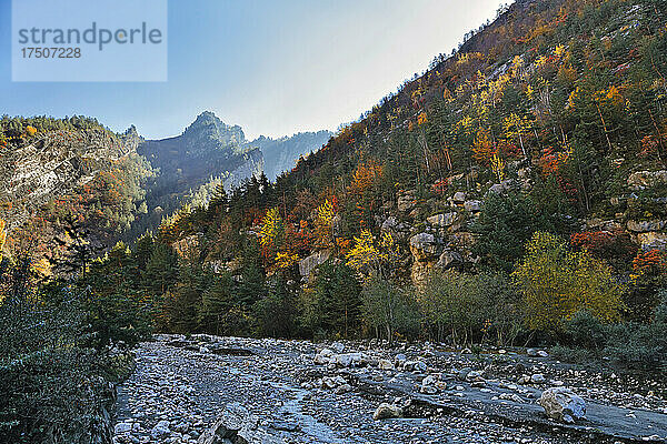 Bewaldetes Tal im Kaukasus im Herbstmorgen
