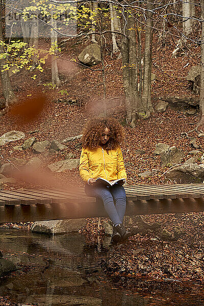 Frau liest ein Buch und sitzt auf einer Brücke im Wald