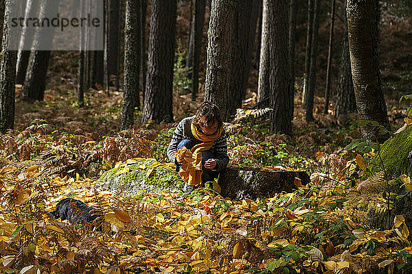 Frau sammelt Herbstblätter im Wald