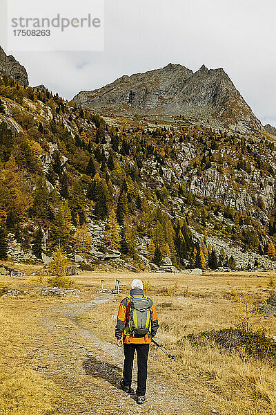 Älterer Tourist mit Rucksack beim Wandern auf dem Berg in den Rätischen Alpen  Italien