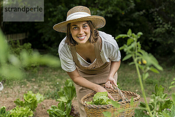 Lächelnde junge Frau mit Hut sammelt Gemüse im Weidenkorb im Garten