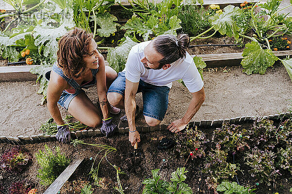 Lächelndes Paar schaut sich beim Pflanzen im Gemüsegarten an