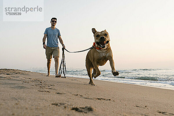 Mann läuft im Morgengrauen mit seinem Hund am Strand