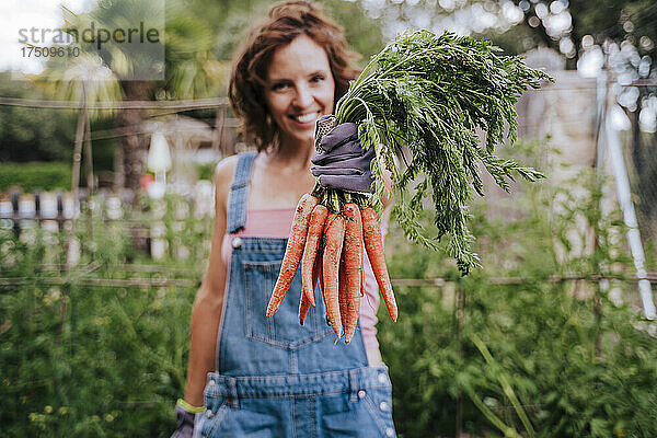 Lächelnde Frau mittleren Alters hält Karotten in der Hand  während sie im Gemüsegarten steht