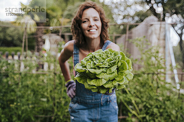 Lächelnde Frau mittleren Alters hält Salat in der Hand  während sie im Gemüsegarten steht
