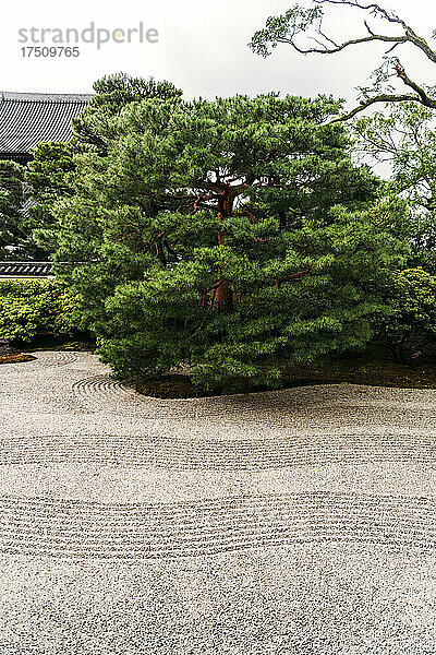 Japan  Kyoto  japanischer Steingarten