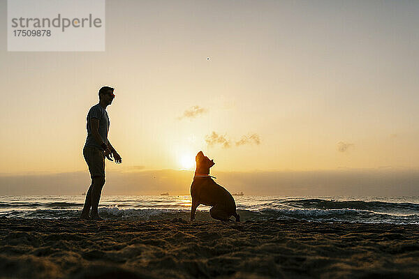 Silhouette eines Mannes  der mit seinem Hund am Strand spielt