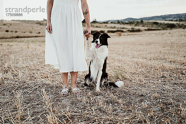 Frau mit Hund im Feld bei Sonnenuntergang