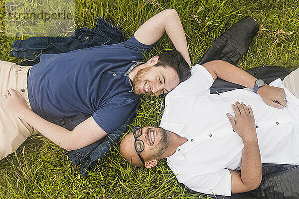 Fröhliches schwules Paar entspannt sich auf der Wiese im Park