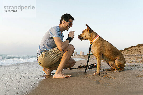 Mann verbringt Freizeit mit seinem Hund am Strand