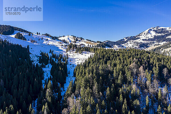 Helikopterblick auf den bewaldeten Gipfel im Mangfall-Gebirge