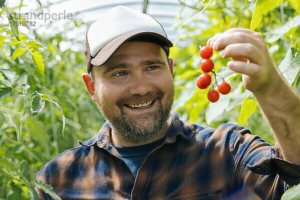 Portrait of happy farmer holding harvested tomatos