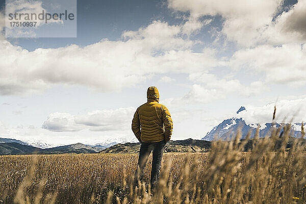 Mann steht im Nationalpark Torres Del Paine  Chile  Patagonien  Südamerika