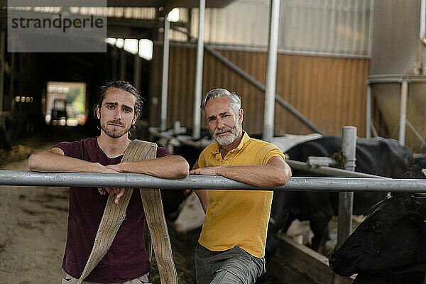Porträt eines reifen Bauern mit erwachsenem Sohn im Kuhstall auf einem Bauernhof