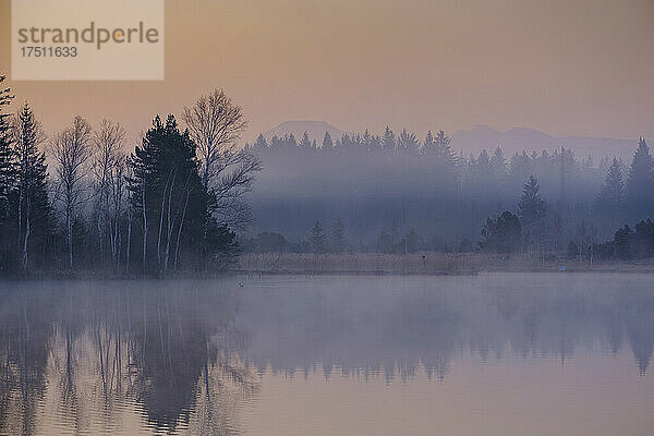 Kirchsee See im nebligen Morgengrauen