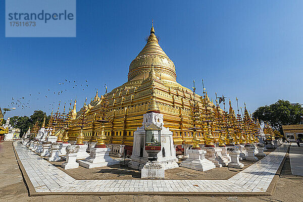 Myanmar  Mandalay-Region  Bagan  Goldene Shwezigon-Pagode
