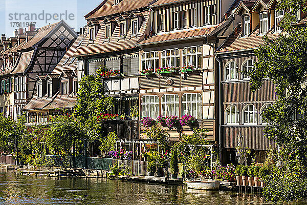 Deutschland  Bayern  Bamberg  Stadthäuser am Fluss Regnitz und Klein-Venedig im Frühling